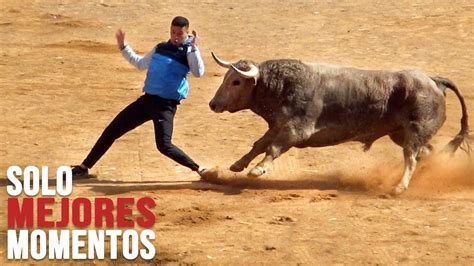 videos toros